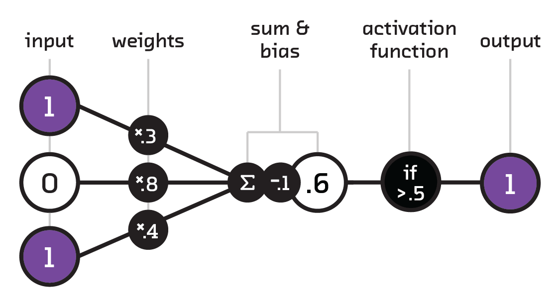 The basic elements of a perceptron.