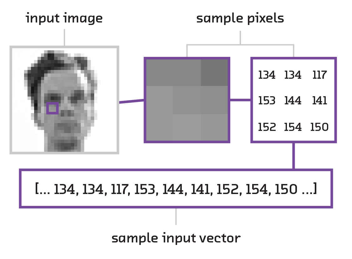 Image transformed into an input vector.