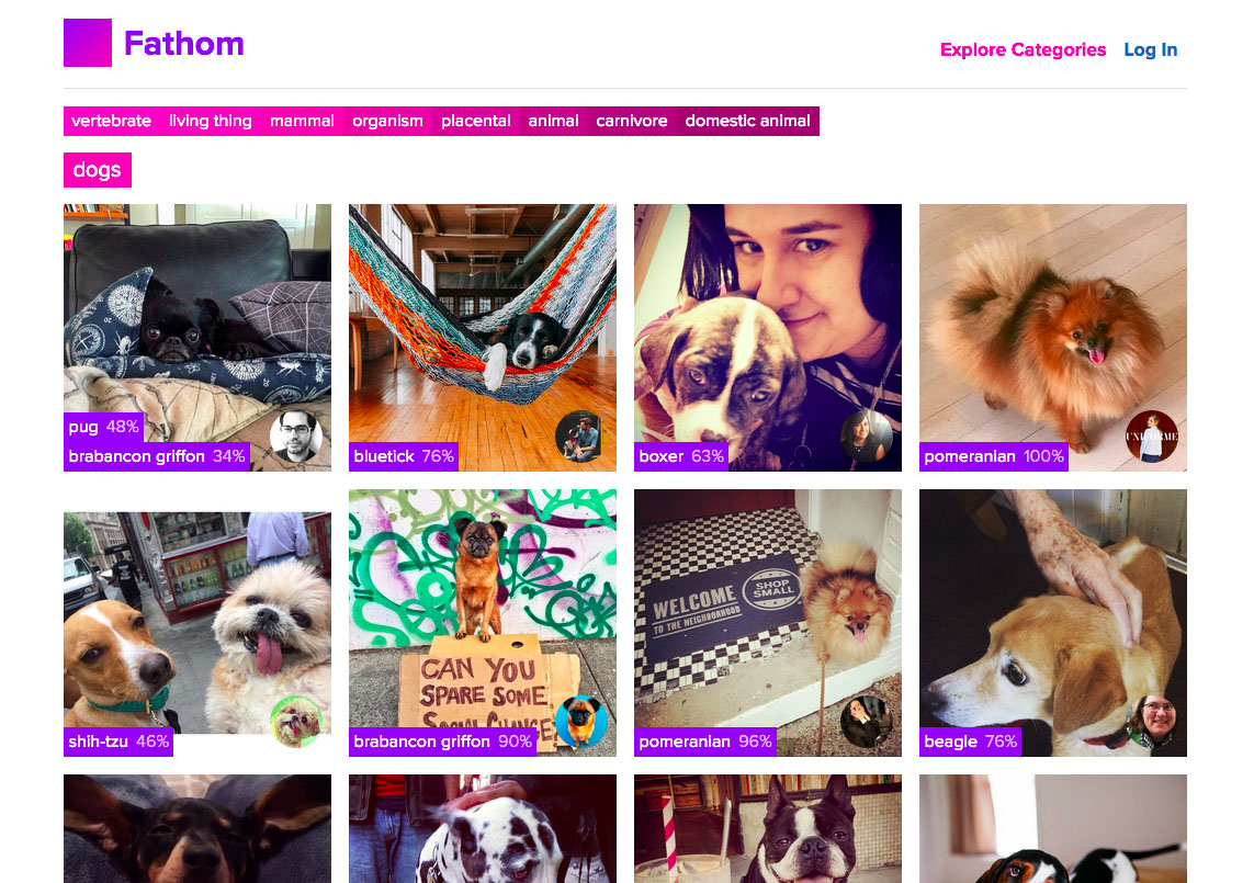 The dog category page on Fathom