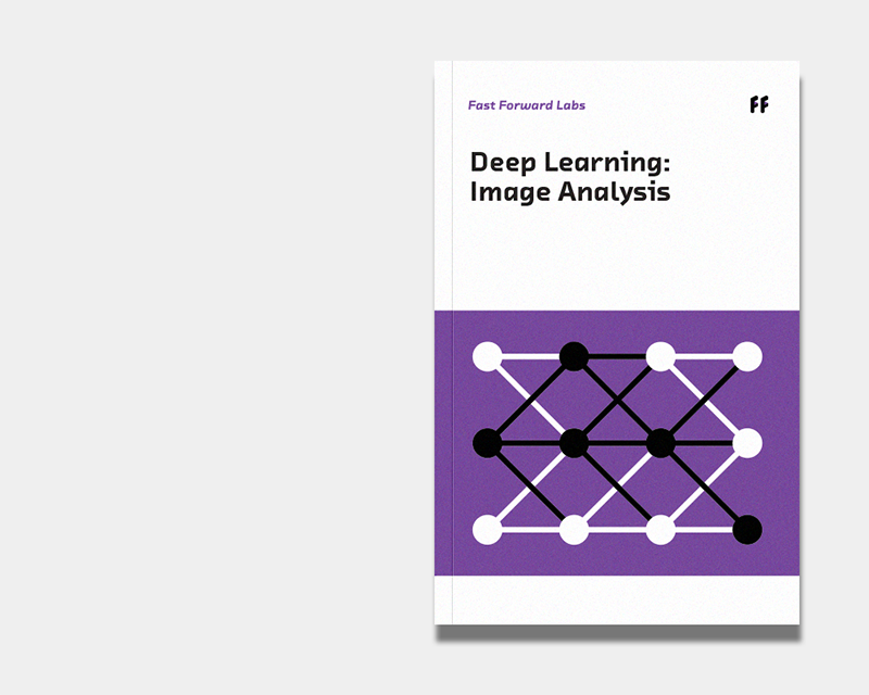 Deep Learning for Image Analysis report cover